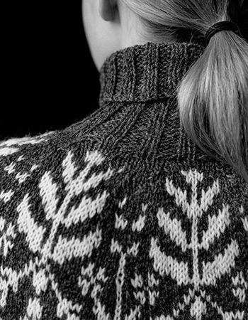 pb57 p17: Suolaulu Talvi Sweater